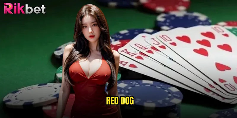 Red Dog rikbet Trải Nghiệm Độc Đáo Game Bài Kinh Điển Phương Tây 1 Red Dog